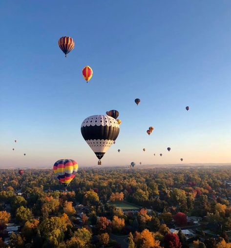 The Walla Walla Balloon Stampede Will Be A Washington Dream Walla Walla Washington, 30 Balloons, Air Balloon Festival, Hot Air Balloon Festival, Balloon Festival, Balloon Flights, Walla Walla, San Juan Islands, Tri Cities