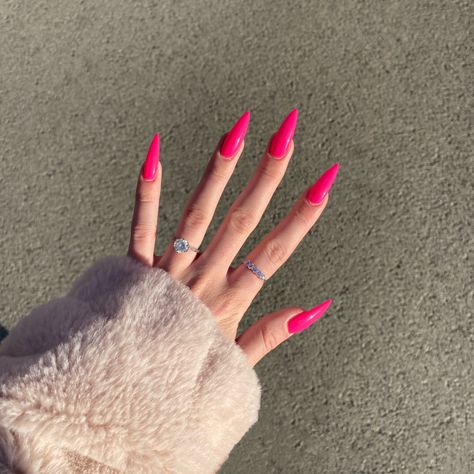 Neon Pink Long Nails, Pointed Pink Nails, Pointy Almond Nails Long, Sharp Nails Pink, Pink Stilleto Nail Designs, Neon Pink Stiletto Nails, Hot Pink Nails Stiletto, Pointy Pink Nails, Pink Stiletto Acrylic Nails