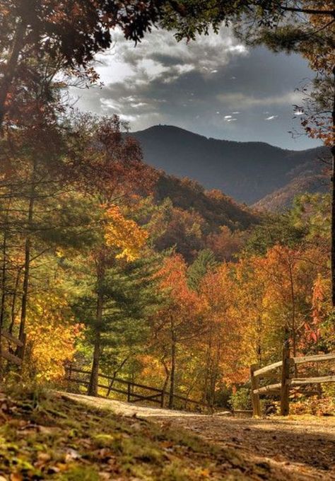 20. The Appalachians are beautiful any time of year, but Autumn is especially vibrant. The scenery is a sea of golds, reds, greens, yellows, oranges, and browns. Autumn Magic, Autumn Scenes, Autumn Scenery, Dirt Road, Autumn Beauty, Fall Pictures, Lombok, Pretty Places, Fall Foliage