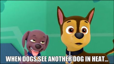 Paw Patrol Cartoon, Dog In Heat, Fire Emblem, Paw Patrol, Rocky, Pikachu, Books Wattpad, The Story, Mario Characters