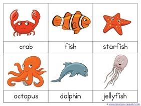 Ocean Animals Preschool Printables - 1+1+1=1 Water Animals Preschool, Ocean Animals Preschool, Leaf Lessons, Ocean Preschool, Ocean Lesson Plans, Sea Animal Crafts, Zoo Phonics, Animals Preschool, Ocean Theme Preschool