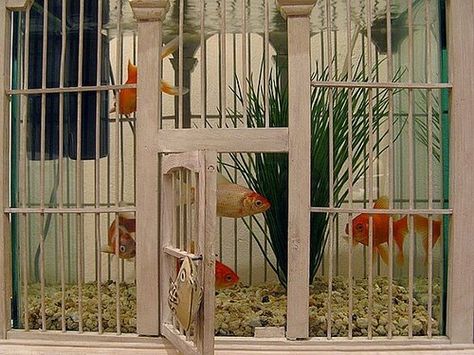 With a fish bowl set inside, this birdcage is a funny aquarium that gives the illusion that the fish can swim out into the room. Source: Flickr User PhOtOnQuAnTiQuE Aquarium Architecture, Amazing Aquariums, Cool Fish Tanks, Aquarium Terrarium, Bird Cage Decor, Vintage Bird Cage, Cool Fish, Birdcages, Ideas Hogar