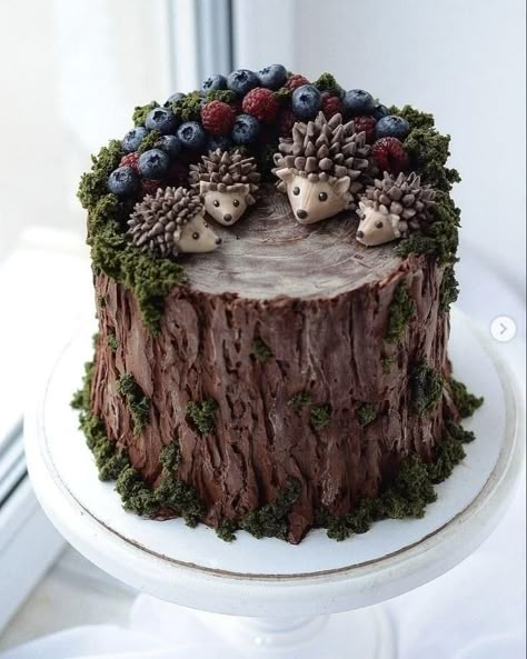 Nature Cake, Hedgehog Cake, Woodland Cake, Log Cake, Cherry Desserts, Animal Cakes, Forest Cake, Novelty Cakes, Idul Fitri