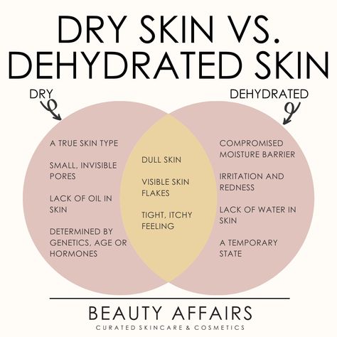 Dehydrated Skin Vs Dry Skin, Dry And Dehydrated Skin, Dehydrated Vs Dry Skin, Dry Vs Dehydrated Skin, Dehydrated Skin Care Routine, Beauty Affairs, Dry Skin Type, Perfect Routine, Esthetician School