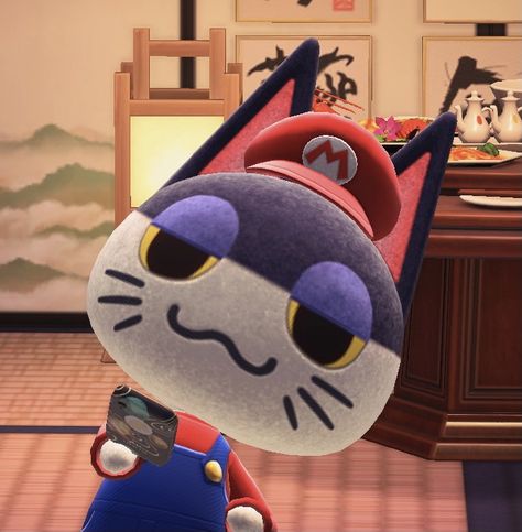 Animal Crossing Pfp Punchy, Animal Crossing Characters Icon, Animal Crossing Cat Pfp, Punchy Animal Crossing Icon, Acnh Punchy, Acnh Pfps, Punchy Animal Crossing, Animal Crossing Cat, Animal Crossing Pfp