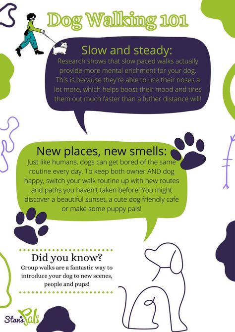 Ensuring your dog is getting the best out of their walks is vital for brain stimulation! Walk them less of a distance and slower paced so they can get the benefits of the smells around them!! Dog Walking Ideas, Dog Walking Business, Dog House Bed, Brain Stimulation, Walking Dog, Dog Foods, Dog Business, Calm Dogs, House Bed