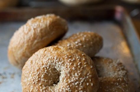 Honey Whole-Wheat Bagels Recipe - Simple Bites Whole Wheat Bagel, Bagels Recipe, Flour Bread, Honey Wheat, Homemade Bagels, Bagel Recipe, Of Montreal, Poppy Seeds, Phone Calls