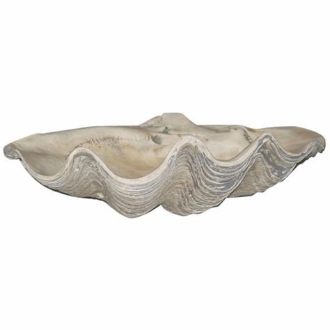 House Parts Large Clam Shell | Hayneedle Pergola Shade Diy, Large Clam Shell, Billy Ikea, Giant Clam Shell, Giant Clam, Shell House, Ikea Billy Bookcase, Ikea Billy, Billy Bookcase