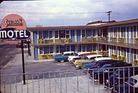 Skylark Motel, Ektachrome Slide, Atlantic City, New Jersey, Circa 1957 Cozy Academia, Wildwood New Jersey, Atlantic City New Jersey, Bluff City, Motel 6, Family Photo Album, American Road Trip, Skylark, Modern Hotel