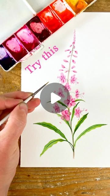 Harriet de Winton on Instagram: "Try this Rosebay Willowherb; a gorgeous wildflower that’s super simple to paint. Try it on @youtube tonight! #rosebaywillowherb #pinkflowers #pinkflower #watercolor #watercolour #harrietdewinton #dewintonpaperco #youtube #youtuber #learntopaint #painting #watercolortutorial #artist #flowerpainting #newbotanicalpainting" Harriet De Winton Watercolor, Rosebay Willowherb, Rose Bay, Watercolour Tutorials, Learn To Paint, Super Simple, Flower Painting, Super Easy, Pink Flowers