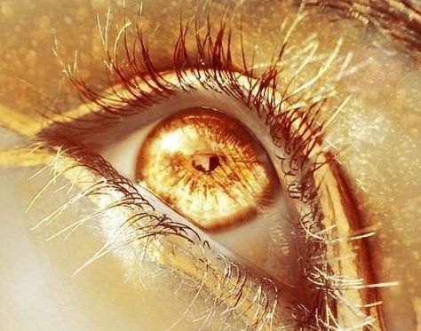 Soulmate Stories, Apollo Aesthetic, Gold Eye Makeup Tutorial, Rose Gold Eye Makeup, Ancient Writing, Piskel Art, Gold Eye Makeup, Amber Eyes, Anna Grace