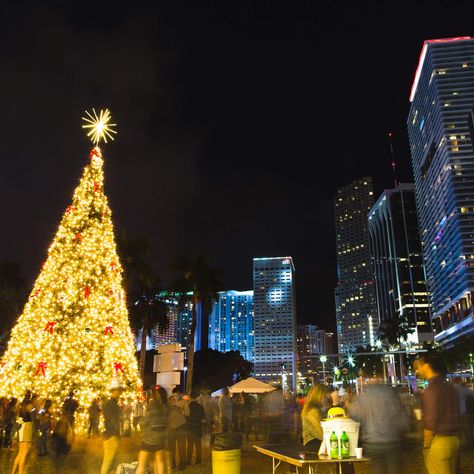 Christmas in Miami Christmas In Miami, Miami Christmas, Bayside Miami, Christmas Tree Outside, Florida Christmas, Holiday Calendar, Country Roads Take Me Home, Christmas Events, Beach Christmas