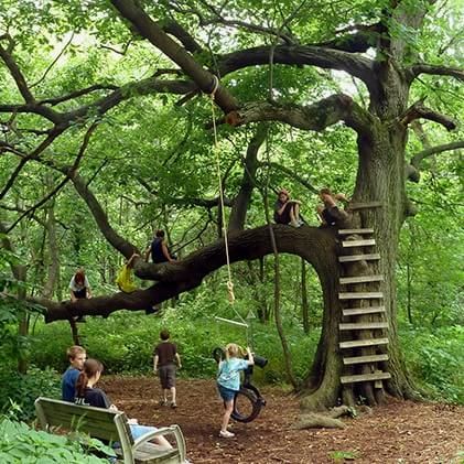 Playground In The Woods, Fort Ideas Outdoor, Dream Playground, Nature Parks, Pick Flowers, Climbing Trees, Outdoor Play Spaces, Tree Fort, Kids Outdoor Play