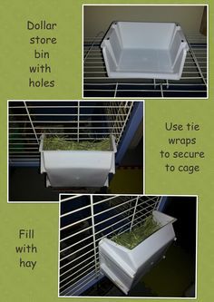 Thanks Cavy Cage, Guinea Pig Diet, Hay Rack, Guinea Pig Diy, Bunny Ideas, Raising Rabbits, Pet Bunny Rabbits, Indoor Rabbit, Rabbit Cages