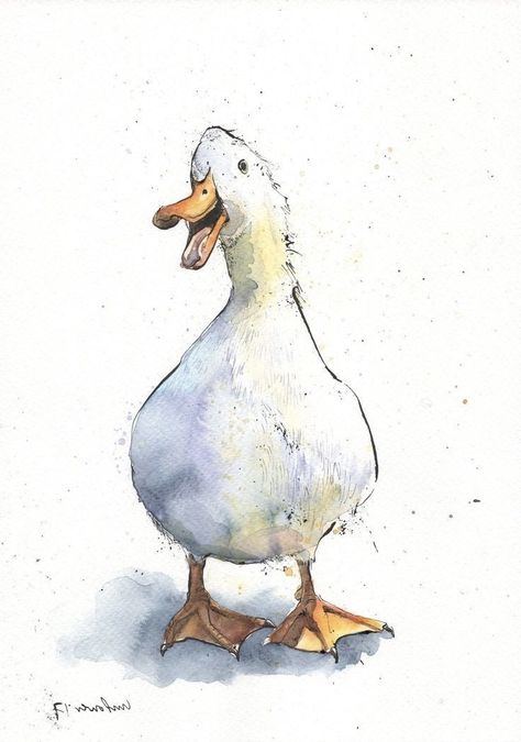 Duck Drawing, Bird Watercolor Paintings, Duck Art, Watercolour Inspiration, Bohol, A Duck, Pen And Watercolor, White Duck, Bird Drawings