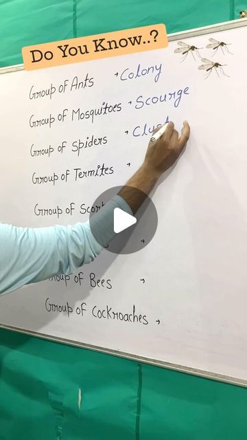 Gk Knowledge In English, Ant Colony, Gk Knowledge, General Knowledge Book, English Vocab, Exam Preparation, General Knowledge, Viral Videos, Did You Know