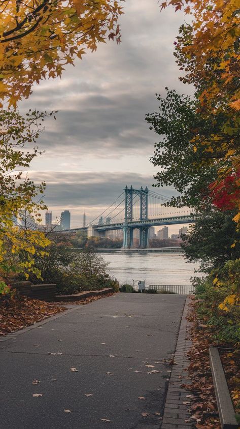 15 Best Spots to See Fall Foliage in New York City Greenwood Cemetery, Leaf Peeping, Riverside Park, New York Travel Guide, Hill Park, Changing Leaves, Prospect Park, Scenic Drive, New York Travel