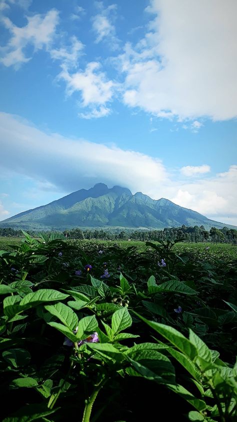 Rwanda Rwanda Wallpaper, Rwanda Landscape, Rwanda Aesthetic, Rwanda Kigali, African Aesthetic, Kigali Rwanda, Camping Site, Mission Trip, Africa Do Sul