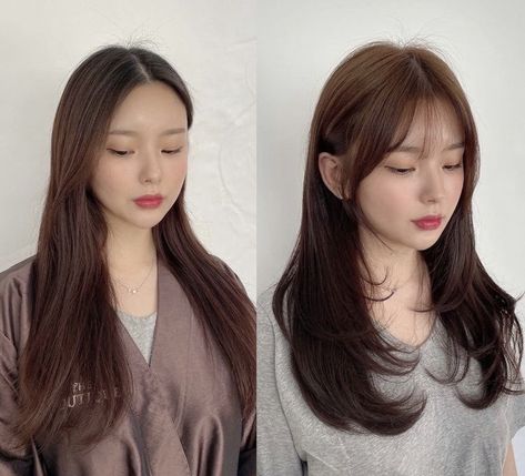 Medium Hair Hairstyles, Korean Long Hair, Korean Hairstyles, Korean Hair Color, Hair Inspiration Long, Layered Haircuts For Medium Hair, Bangs With Medium Hair, Hairstyles For Layered Hair, Shot Hair Styles