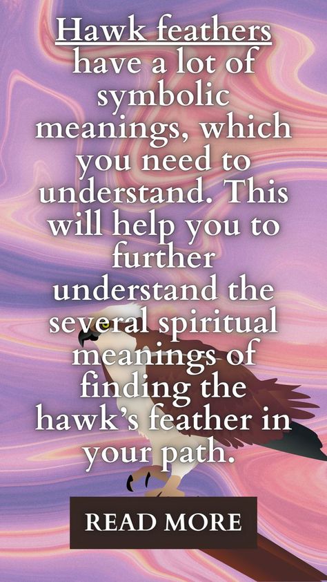 Hawk Feather Meaning, Red Tail Hawk Feathers, Hawk Feather, Feather Symbolism, Feather Meaning, Spirit Animal Meaning, Hawk Feathers, Animal Meanings, Spiritual World