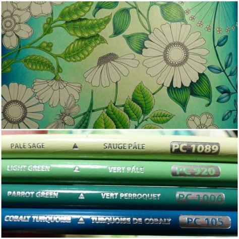 Prismacolor Backgrounds, Prismacolor Palette, Coloring Combinations, Colored Pencil Art Projects, Joanna Basford Coloring, Pencil Inspiration, Blending Colored Pencils, Enchanted Forest Coloring, Secret Garden Coloring Book