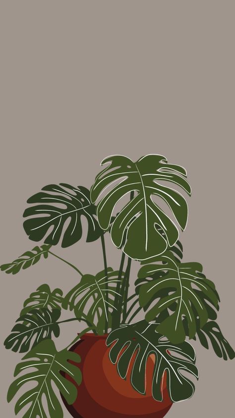 Plant Lockscreen, Kaktus Aesthetic, Insta Wallpaper, Monstera Wallpaper, Iphone Wallpaper Plants, Lofi Vibes, Wallpaper Plant, Streetwear Wallpaper, Sweet Wallpaper