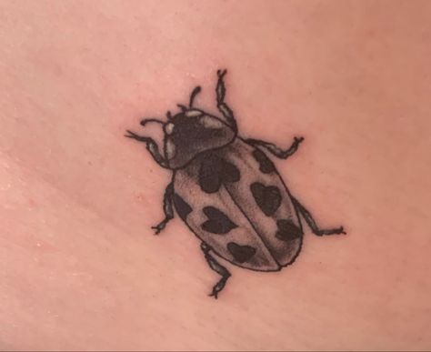 Heart Ladybug, Ladybug Tattoo, Lady Bug Tattoo, Pretty Tattoos, Heart Tattoo, Lady Bug, Tattoos And Piercings, Tatting, Piercings