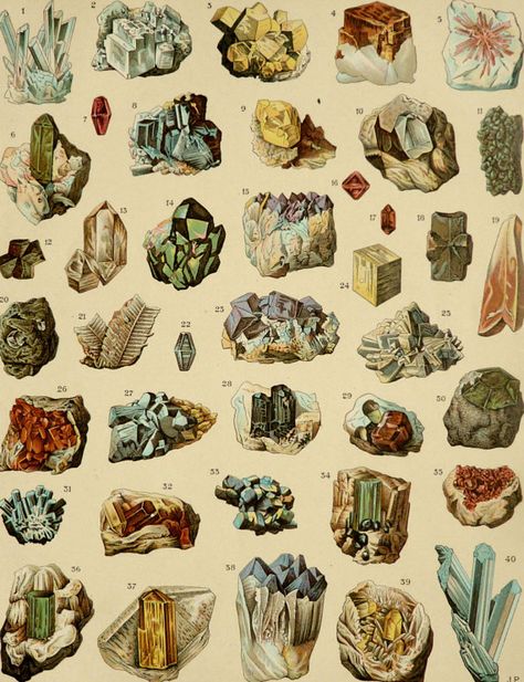 Antique lithographe, 1900. Minerals Print, Crystal Rocks, Crystal Drawing, Arte Grunge, Science Illustration, Editorial Art, Geology Rocks, Scientific Illustration, Vintage Poster Art