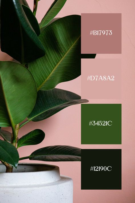 The Pink and Green image showcases a potted plant with deep green leaves set against a soft pink background, creating a pleasing contrast that highlights the rich green foliage. Pink Green Black Gold Color Palette, Pink And Green Branding Colour Palettes, Deep Green Color Palette, Pink Green Color Palette, Green And Pink Palette, Green Colour Combo, Pink And Green Color Palette, Pink Green Aesthetic, Green Contrast Color