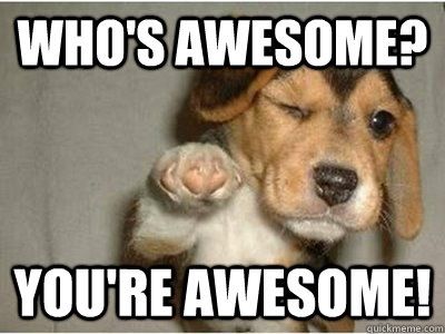 whos awesome youre awesome - Awesome Dog Get Well Quotes, Motivational Memes, Funny Motivational Quotes, Work Motivational Quotes, Funny Inspirational Quotes, Work Memes, Memes Humor, You're Awesome, Get Well Soon