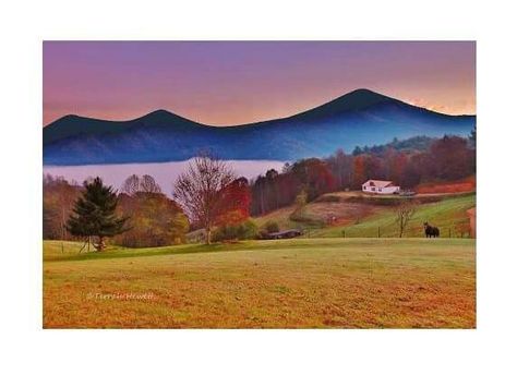 Appalachian Heritage, Gods Country, Screen Plants, Carolina Mountains, Nature Projects, North Carolina Mountains, Scenic Photos, North Carolina Homes, Appalachian Mountains