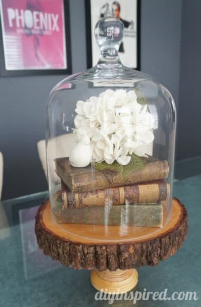 Cake Dome Decor, Glass Cloche Decor, Lodgepole Pine, Cloche Ideas, Cloche Decor, Cake Stand Decor, Bell Jars, Decoration Vitrine, Interesting Decor