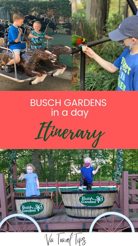 How to Do Busch Gardens (Williamsburg) In 1 Day & See it All Bush Gardens Williamsburg Virginia, Bush Gardens Williamsburg, Busch Gardens Williamsburg, Child Plan, Bush Garden, Chicken Plating, Williamsburg Virginia, Williamsburg Va, Busch Gardens