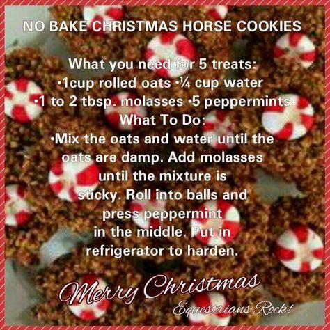 Peppermint Horse Treats, Horse Treats Recipe Easy No Bake, No Bake Horse Treats, Horse Treat Recipes, Horse Treats Recipe Easy, Diy Horse Treats, Horse Treats Recipe, Horse Snacks, Horse Recipes