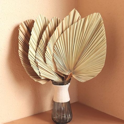 Amazon.com: Dried Palm Leaves 5Pcs 18" Large Natural Trimmed Palm Spear Tropical Palm Leaves Fans Boho Wedding Decor Hawaiian Luau Party Holidays Kitchen Table Dried Flowers Pampas Grass Decoration : Home & Kitchen Grass Decoration, Palm Leaf Decor, Dried Palm Leaves, Boho Wedding Decor, Kitchen Table Centerpiece, Gift Boxes Decoration, Hawaiian Luau Party, Pampas Grass Decor, Palm Tree Leaves