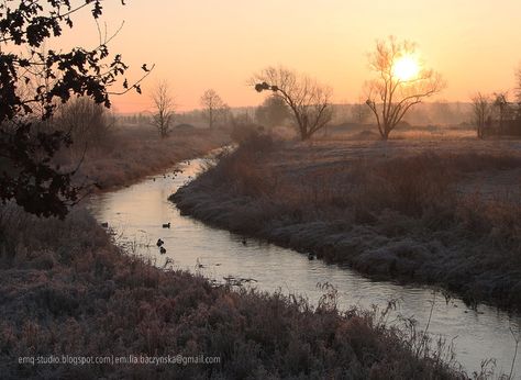 Poland Countryside, Polish Countryside, Morning Landscape, Polish Culture, Different Shades Of Red, Cottage Fairy, Best Memories, Peace Of Mind, Dream Life