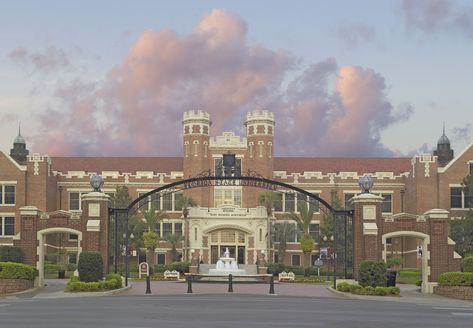 Luxury School Exterior, Aesthetic Schools Exterior, Front Of School Building, School Gate Aesthetic, Fancy School Exterior, Rich Private School Aesthetic Building, Korean Highschool Buildings, Pretty School Building, Fancy School Building