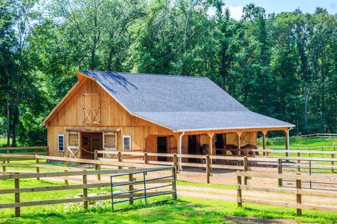 Custom Horse Barns CT, MA, RI, Stables, Riding Arenas: The Barn Yard & Great Country Garages Horse Farm Layout, Small Horse Barns, Barn Layout, Horse Farm Ideas, Diy Horse Barn, Backyard Barn, Horse Barn Ideas Stables, Small Barns, Horse Barn Designs