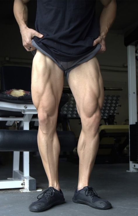 The 12 Best Quad-Focused Exercises for Bigger Quads | Legion Quads Anatomy, Quad Muscles Anatomy, Muscle Legs Reference, Leg Muscles Reference, Quad Workout Men, Quads Aesthetic, Leg Exercises For Men, Legs Poses, Bigger Quads