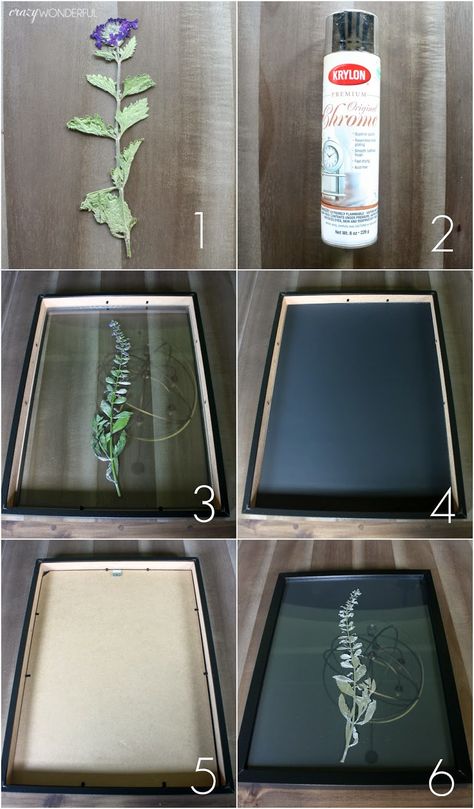 pressed botanical | tutorial - Crazy Wonderful Botanical Gallery Wall, Pressed Botanicals, Pressed Flower Crafts, Flowers Pretty, Fleurs Diy, Pinterest Diy, Cadeau Diy, Pressed Flower Art, Paper Towels