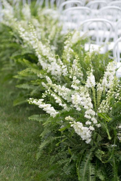 Ferns: http://www.stylemepretty.com/2015/07/29/30-details-for-an-organic-naturally-elegant-wedding/ Ferns Wedding, Wedding Aisles, Wedding Ceremony Chairs, Fern Wedding, Wedding Ceremony Ideas, Ceremony Chairs, Aisle Flowers, Theme Nature, Wedding Ceremony Flowers