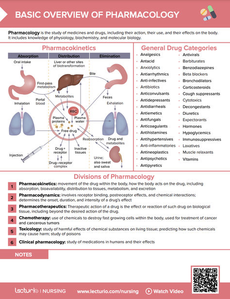 Quick intro to pharmacology in nursing, terminology, pharmacokinetics, and overview of general drug classes 📖✨ Basic Pharmacology Notes, Clinical Reasoning Nursing, Nursing Notes Pharmacology, How To Learn Pharmacology, Advanced Pharmacology Nurse Practitioner, Pharmacology Nursing Study Cheat Sheets, Nursing School Wallpaper, Medical Terminology Study Cheat Sheets, Simple Nursing Study Guides