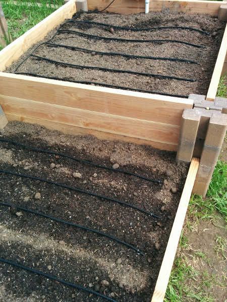 Raised Garden Beds Irrigation, Soaker Hose Irrigation, Garden Watering System, Soaker Hose, Raised Garden Beds Diy, Cold Frame, Home Vegetable Garden, Garden Irrigation, Edible Garden