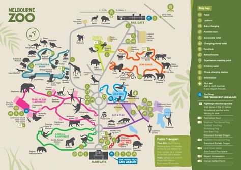 Melbourne Zoo Map (2024 - 2020) | ThemeParkBrochures.net Planet Zoo Inspiration, Melbourne Map, Zoo Inspiration, Zoo Map, Melbourne Zoo, Zoo Project, Snow Lion, Zoo Ideas, City Zoo