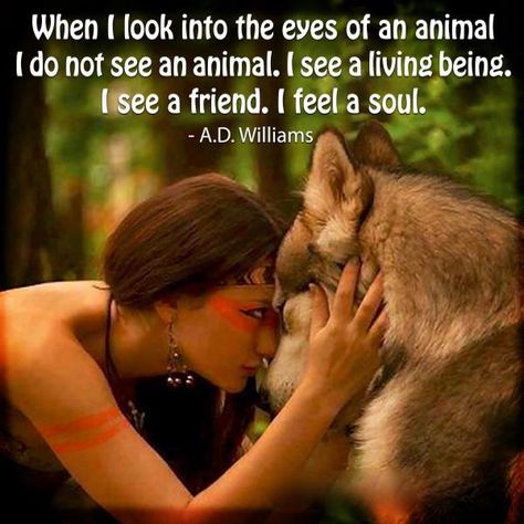 When I look into the eyes of an animal I do not see an animal, I see a living being, I see a friend. I feel a soul. American Quotes, Native American Quotes, Wolf Quotes, She Wolf, Wolf Spirit, Wild Woman, A Wolf, Animal Quotes, Animal Rights