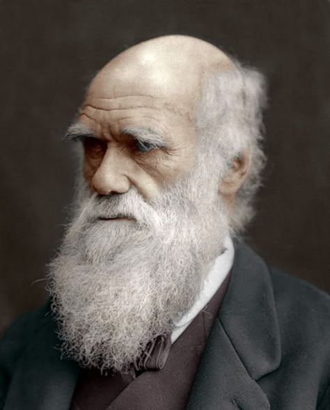 5 Interesting Facts About Charles Darwin Charles Darwin Quotes, History Of Psychology, Epic Beard, Theory Of Evolution, Grey Beards, Historical People, Vintage Portrait, Portrait Reference, Natural Selection