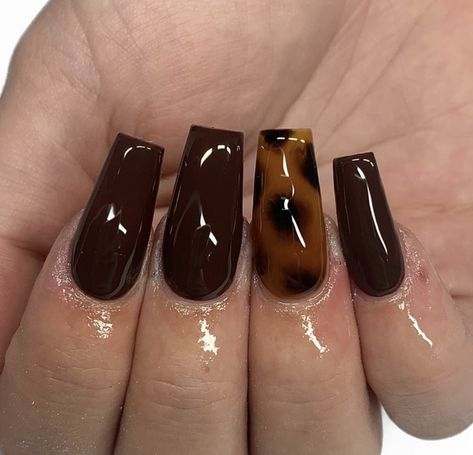 Tortishell Nails Design, Tortoiseshell Nails, Tortoise Nails, Shell Nails, Tortoiseshell Hair, Shape Nails, Tortoise Shell Hair, Instagram Autumn, Coffin Shape