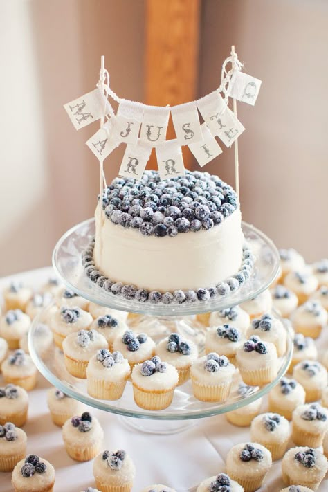 Blueberry Party, Ginger Cakes, Kiawah Wedding, Blueberry Wedding, Owl Wedding, Charleston Weddings, Birthday Things, Wedding Cake Photos, Beach Wedding Cake