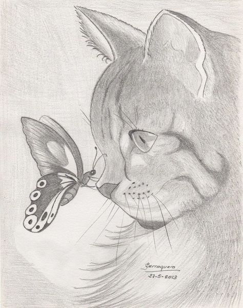 Easy Nature Drawings, Draw Cats, Pencil Drawings Of Animals, طابع بريدي, Animal Drawings Sketches, Cat Sketch, Butterfly Illustration, Drawing Faces, Butterfly Drawing