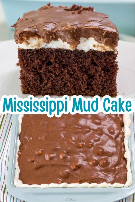 Mississippi Cake Recipe, Easy Mississippi Mud Cake, Mississippi Mud Cake Old Fashioned, Missippi Mud Cake Easy, Missippi Mud Cake, Mississippi Cake, Mississippi Mud Brownies Duncan Hines, Mud Cake Recipe, Mud Cake Recipes